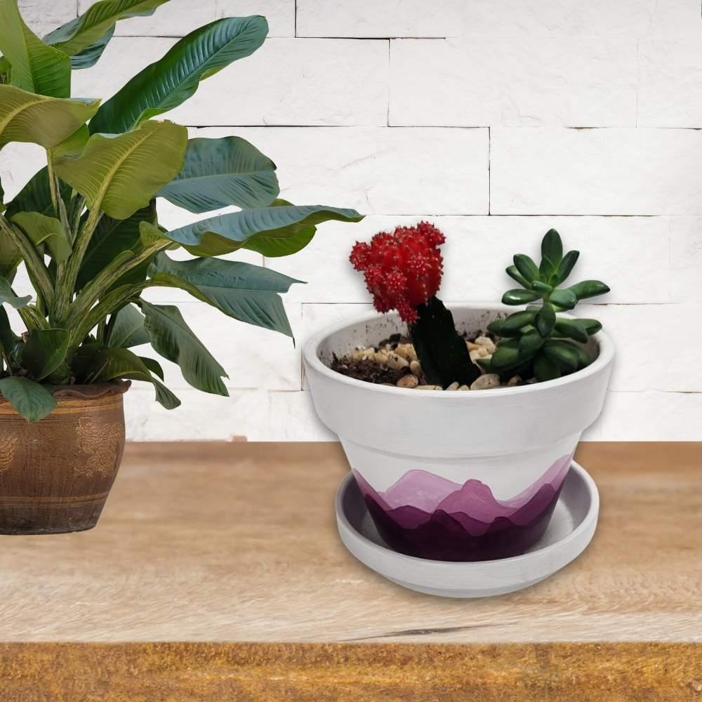 Flower Pot with Saucer