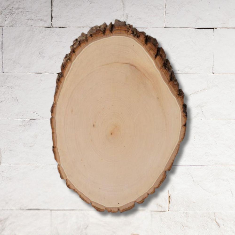 Wood Slice 9-12"