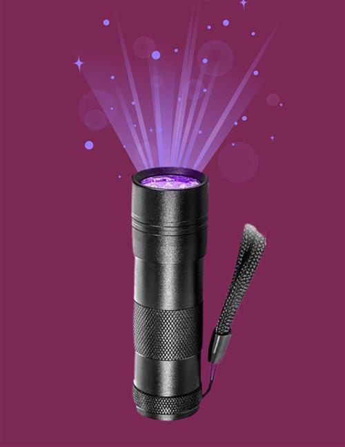 Blacklight Flashlight