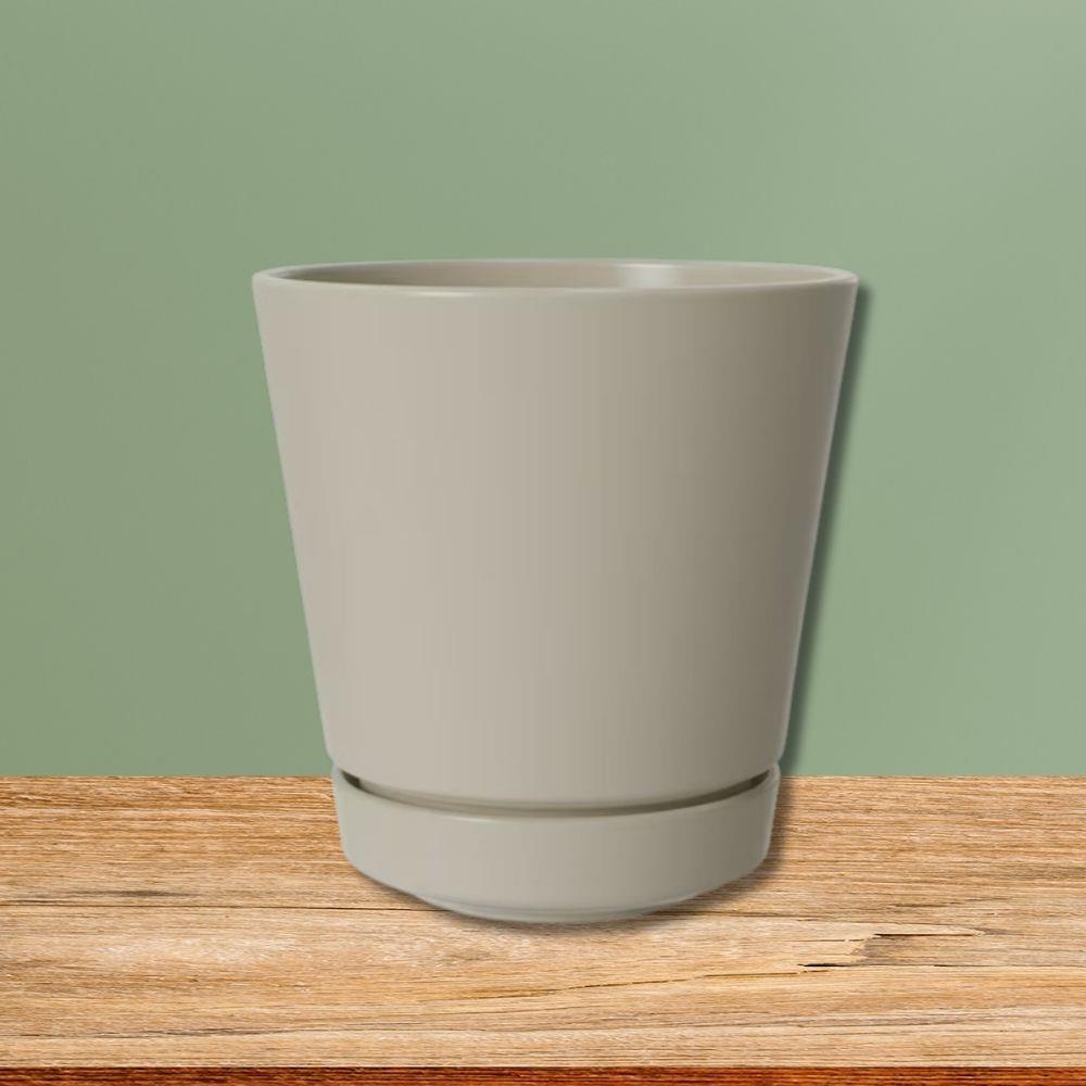 6" Plastic Pot